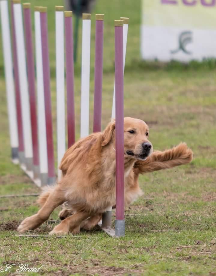 SLALOM JUNINHO