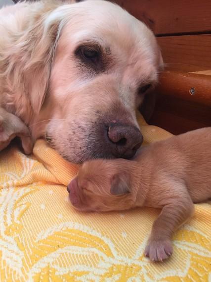 Gaby et son bébé